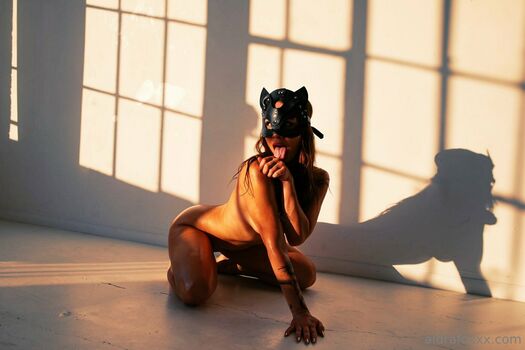aidrafox