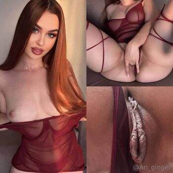 ari_ginger