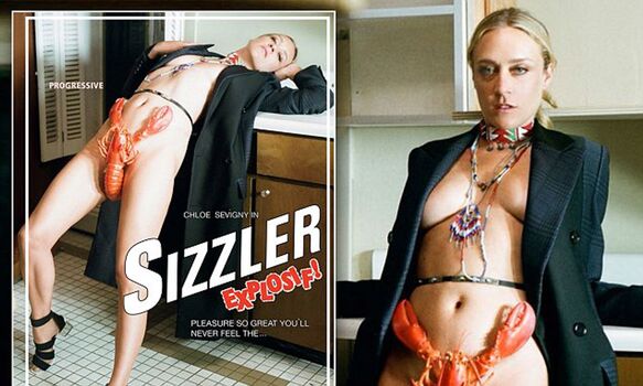 Chloe Sevigny