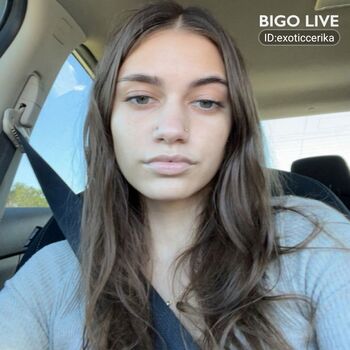 Exoticcerika
