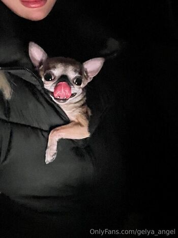 gelya_angel