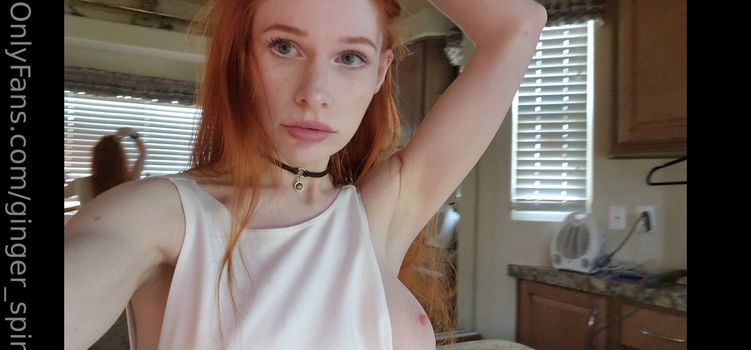 GingerXSpinner