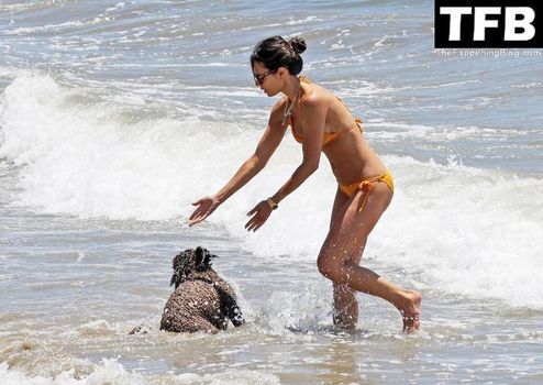 Jordana Brewster