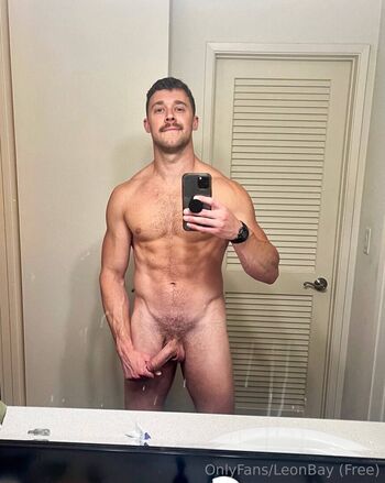 leonbay_free