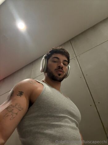 luiscapecchi