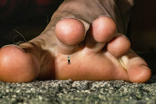 macrocole