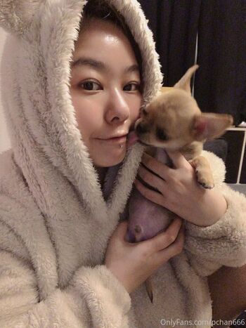 Pchan 666