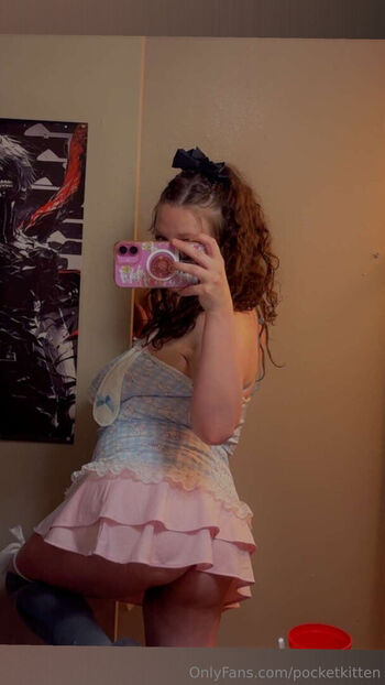 pocketkitten