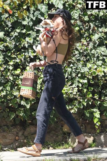 Scout Willis