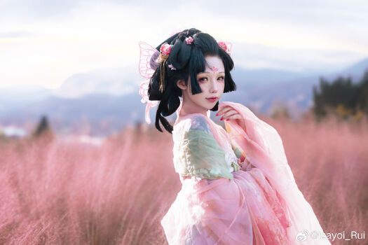 shiliuyelei
