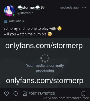 stormerp.free