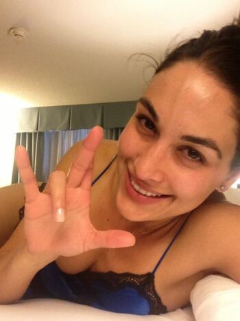 The Bella Twins