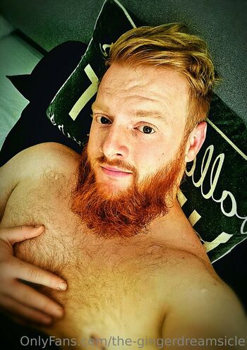 the-gingerdreamsicle