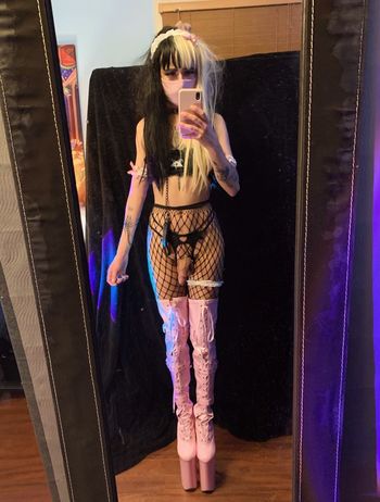 tinytraplexi