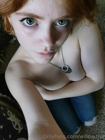 Willow.trie